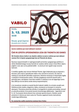 Čar in lepota upognjenega lesa od Thoneta do danes