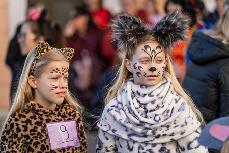 011-2026-02-17 Kamnisˇki karneval-11