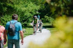 48036571228_ca92c8552b_b