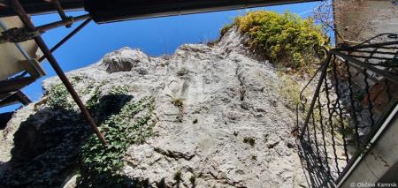 Sadnikarjeva_1_-_mree-001