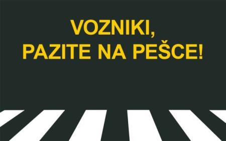 pesci_pozor-001