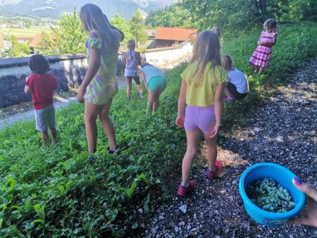 IMG_20210706_110007-001