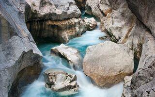 Alpska_1-001