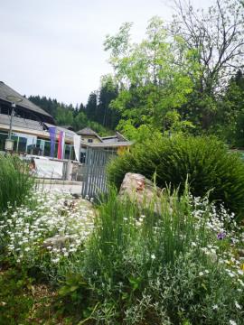 Terme_Snovik_maj_2020_foto_K.Hribar-001