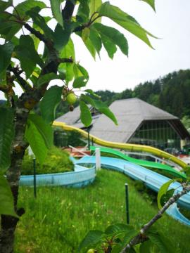 IMG_20200522_125950-001