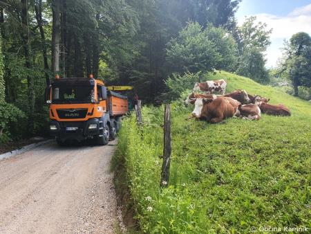 CERKLJANSKA_DOBRAVA_4-001