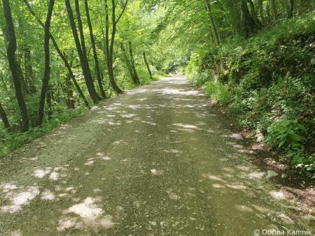 MENINA_PLANINA_2-001