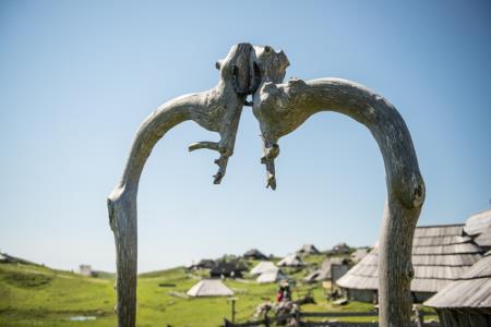 _DSC3138-002
