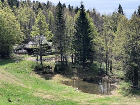 Velika_planina_2018-001