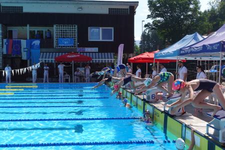 Mednarodni plavalni miting VERONIKA