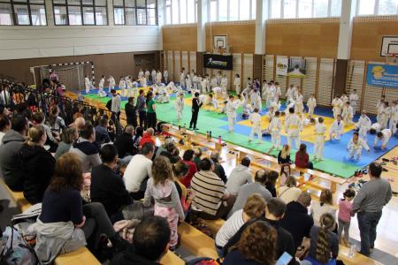 Vsako leto več tekmovalcev na Kamniškem judo panda turnirju (1)