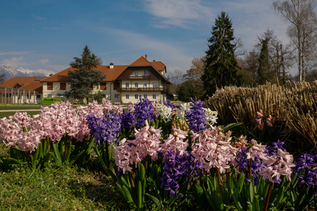 Arboretum_marec_2026_Foto_Klara_Kopač-96