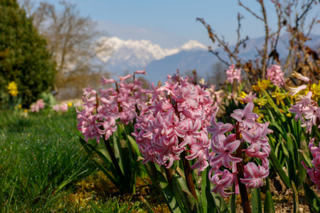 Arboretum_marec_2026_Foto_Klara_Kopač-158