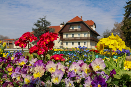 Arboretum_marec_2026_Foto_Klara_Kopač-202