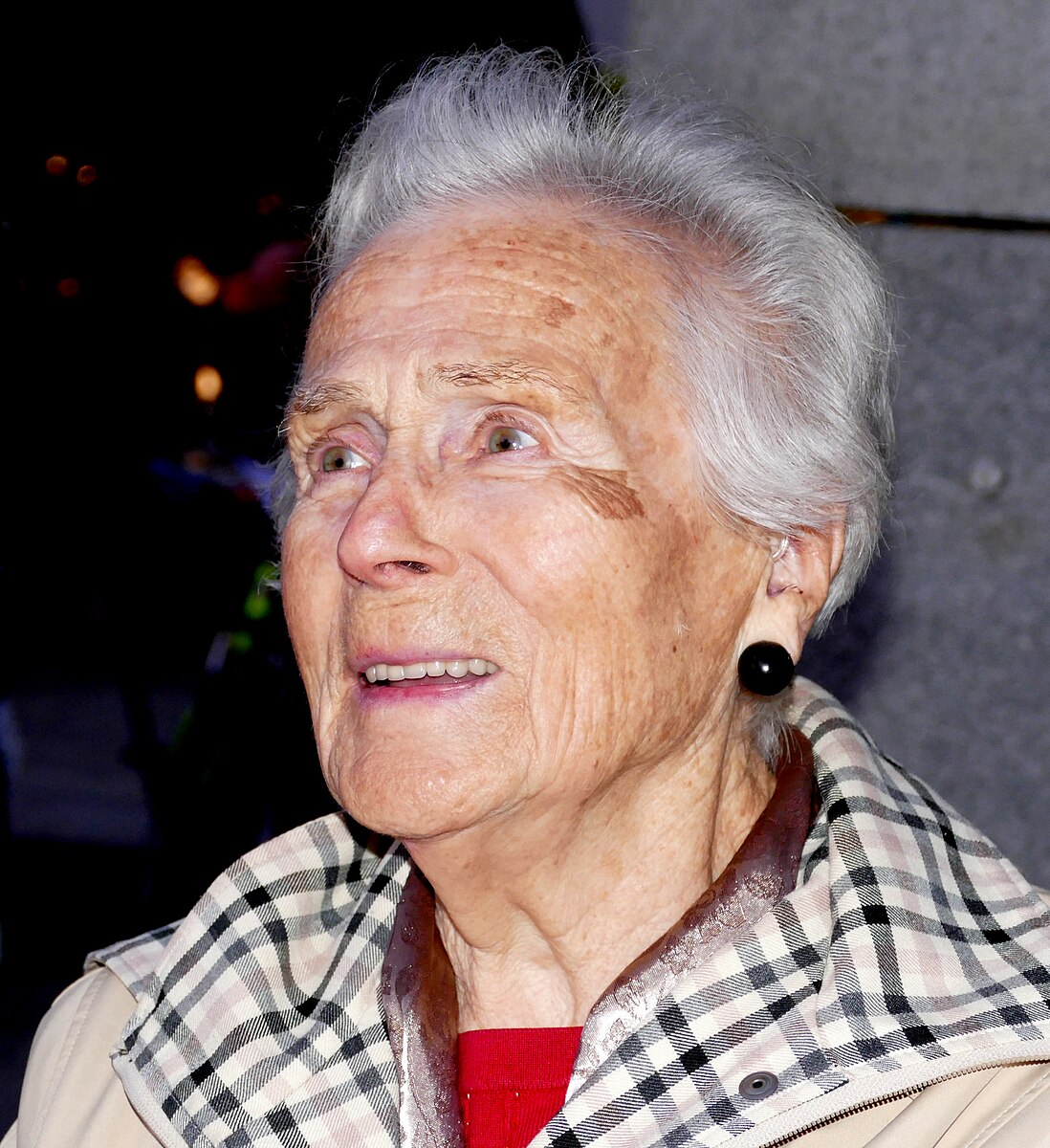 Valerije Skrinjar Tvrz – Valči